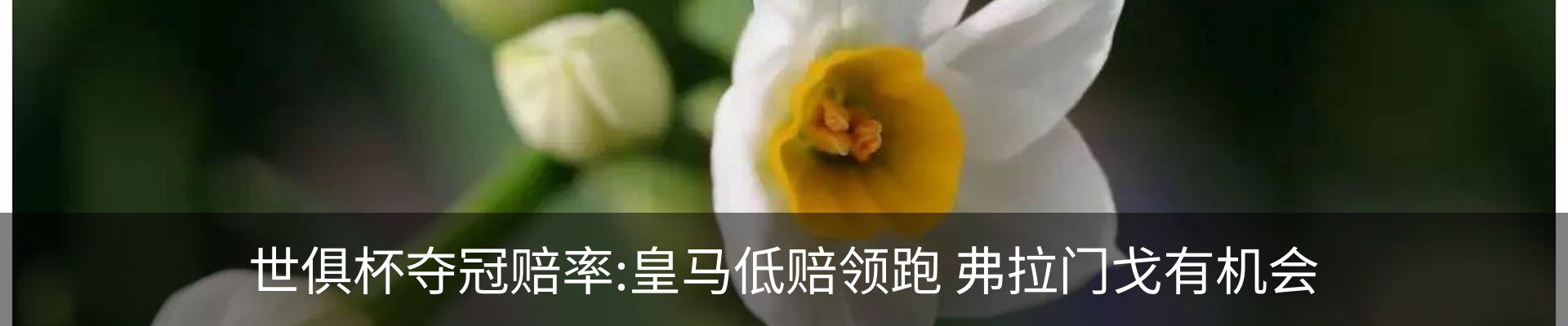 热点资讯